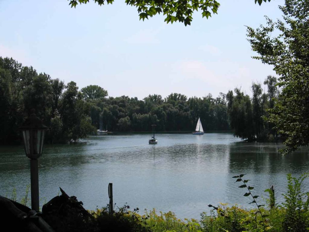 Restaurant "Altrheinklause" bei Waldsee in der Pfalz