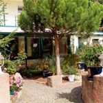 Restaurant und Pension "Bergel" in Sankt Martin - Pfalz - Der romantische Garten.