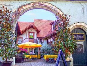 Restaurant, Gasthaus, Pension "Alter Kastanienhof" in Rhodt in der Pfalz