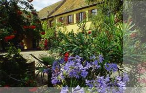 "Hofgut Battenberg" - Burg, Gutsschenke, Landhotel, Weingut und Terrasse mit mediterranem Flair