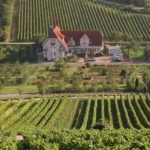 Hotel***, Restaurant "Castell" in Leinsweiler