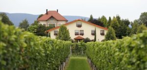 Weingut & Gästehaus "Villa Hochdörffer" in Landau-Nußdorf