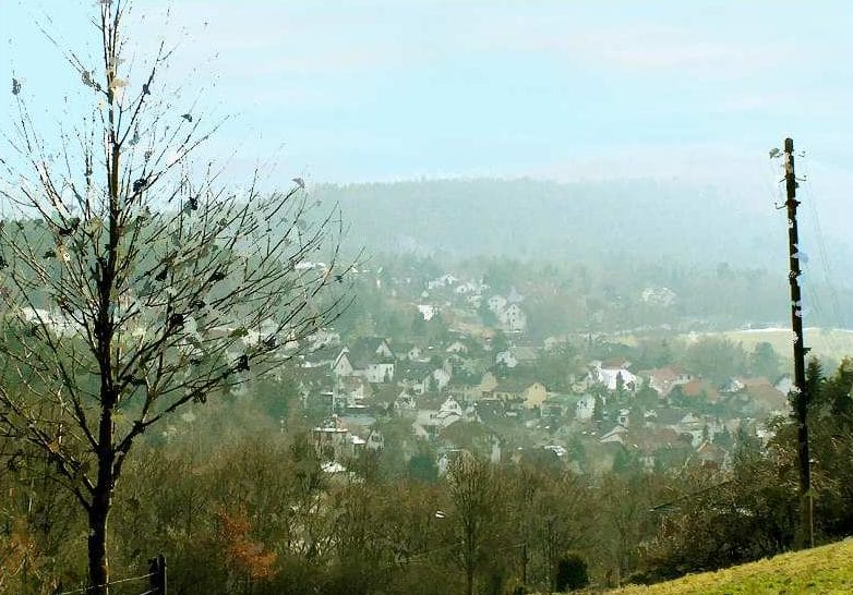 Familien- und Jugendgästehaus "Burg-Jugendherberge" in Altleiningen in der Pfalz