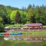 Ausflugslokal "Paddelweiher Waldgaststätte" in Hauenstein in der Pfalz