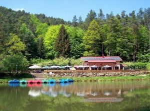 Ausflugslokal "Paddelweiher Waldgaststätte" in Hauenstein in der Pfalz