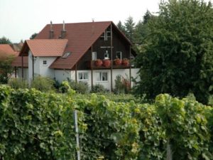 Weingut, Weinstube, Weingalerie, Gästehaus "Junker" in Impflingen in der Pfalz