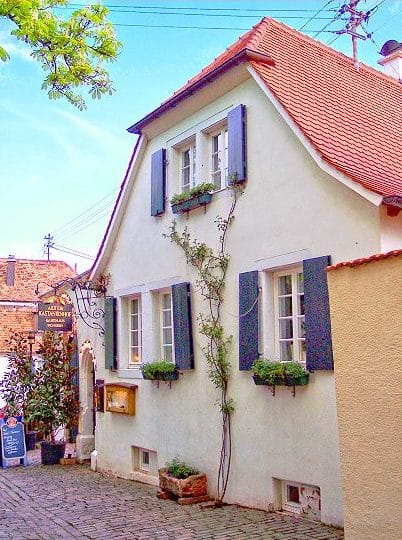 Restaurant, Gasthaus, Pension "Alter Kastanienhof" in Rhodt in der Pfalz