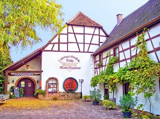 Weinstube, Weingut "Mathis" in Klingenmünster in der Pfalz