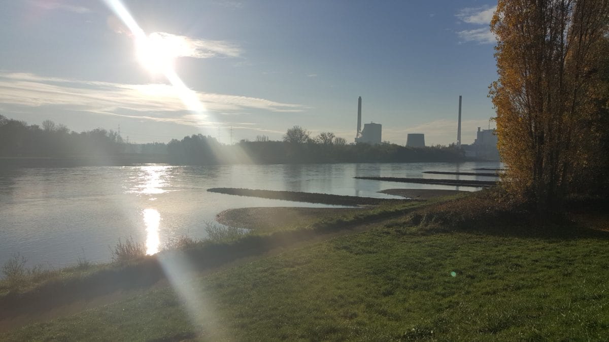 Wörth am Rhein in der Pfalz