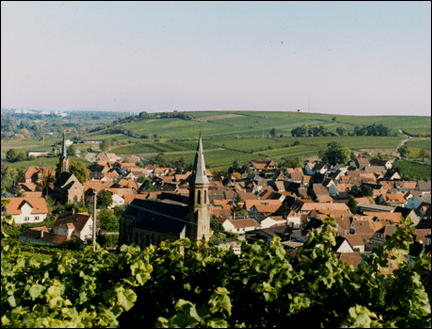 Blick auf den Weinort Birkweiler