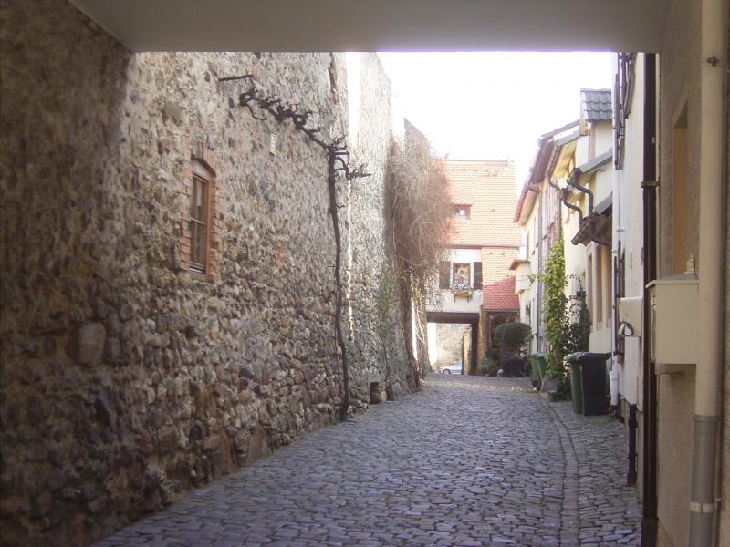 Ein Teil der mittelaterlichen Ringmauer in Freinsheim