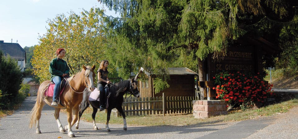 Ausritt am Germanshof in Bobenthal in der Pfalz