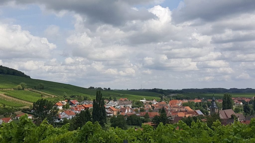 Blick auf Pleisweiler