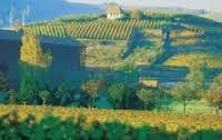 Leininger Land, Bad Dürkheim in der Vorderpfalz