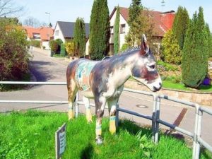 Esel in Eschbach in der Pfalz