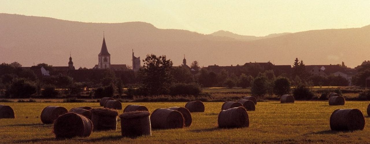 Haßloch in der Pfalz