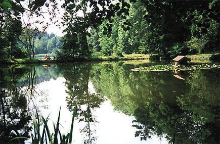 Hetschmühlweiher in Wattenheim, zum Angeln von Forellen