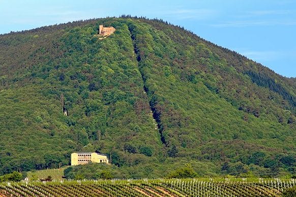 Die Rietburgbahn in Rhodt unter Rietburg