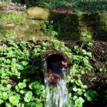 rippstadt und seine Quellen