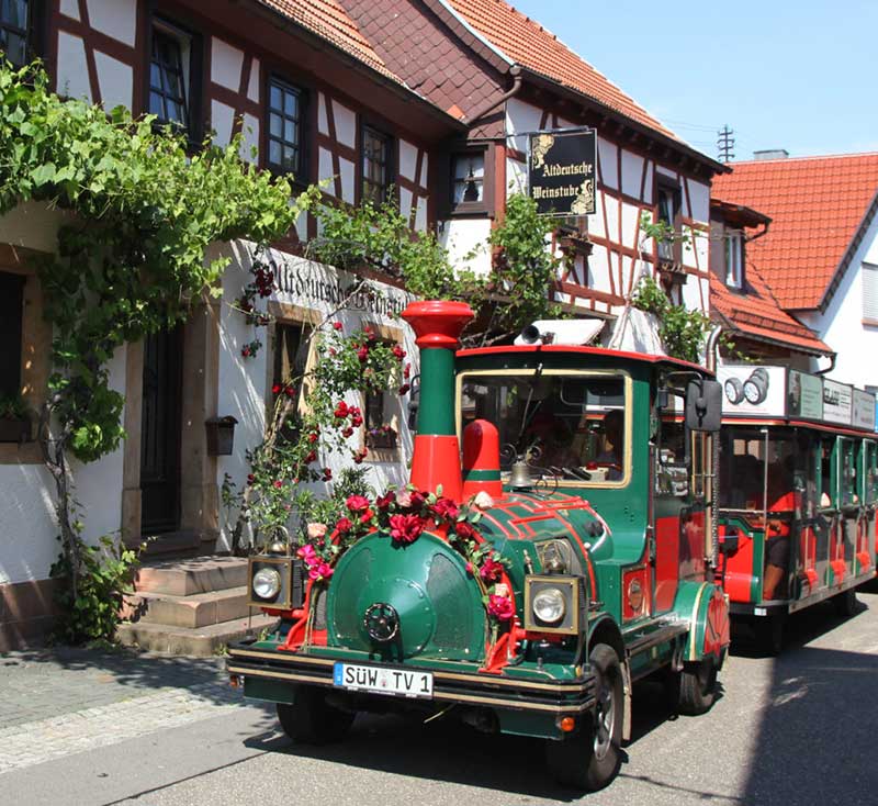 "Rosenbähnel" während der Rosenwochen in Bad Bergzabern