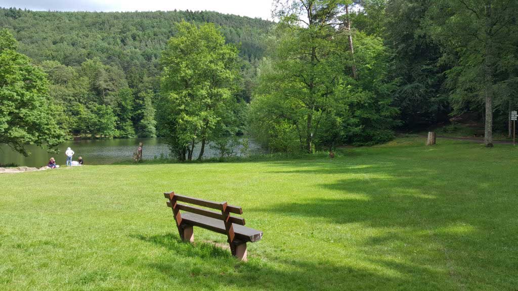 Ruhebank am Seehofweiher in Erlenbach bei Dahn