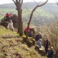 Wandern auf dem Donnersberg