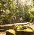 Donnersberg, mit dem Rad oder zu Fuß, ein Erlebnis