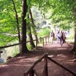 Pfrimmtal Wanderweg