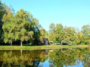 "Fischerhütte" in Insheim in der Pfalz