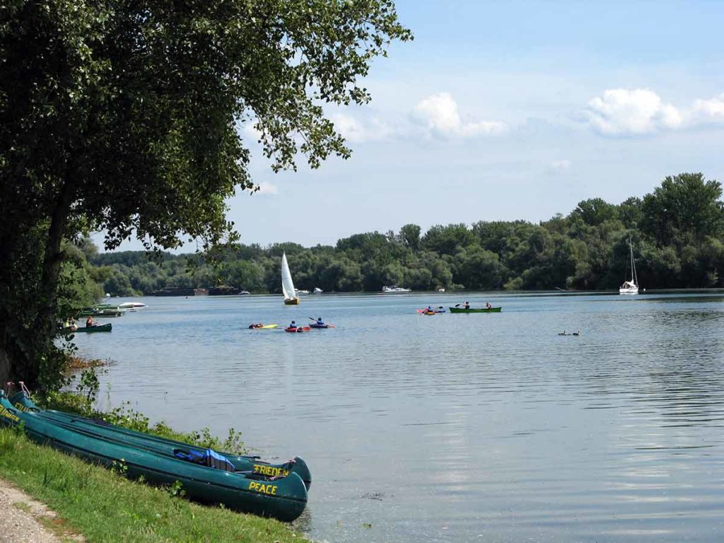 Am Altrhein bei Waldsee in der Pfalz