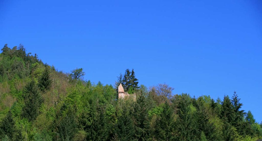 Reste der Burgruine Breitenstein bei Esthal in der Pfalz