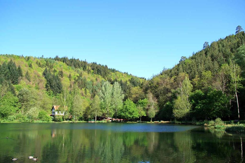 Helmbachweiher mit Freizeitanlage bei Elmstein in der Pfalz