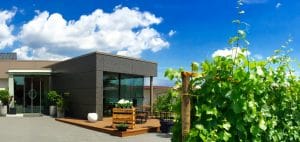 Vinothek Anton in Kirrweiler in der Pfalz mit Herbstausschank