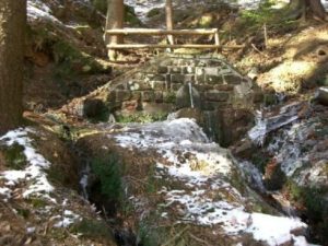Der Mordkammerpfad in Elmstein
