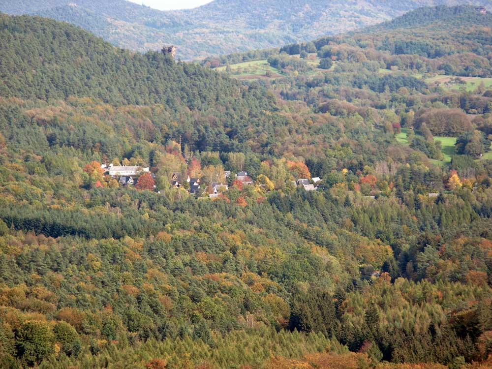 Feriendorf Eichwald bei Gossersweiler-Stein im Pfälzerwald