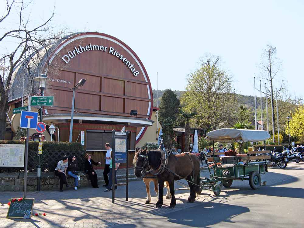 Kutschenfahrt in Bad Dürkheim in der Pfalz