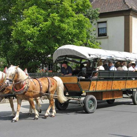 Kutsch- und Planwagenfahrten in der Pfalz