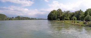 Am Rhein in Leimersheim in der Pfalz
