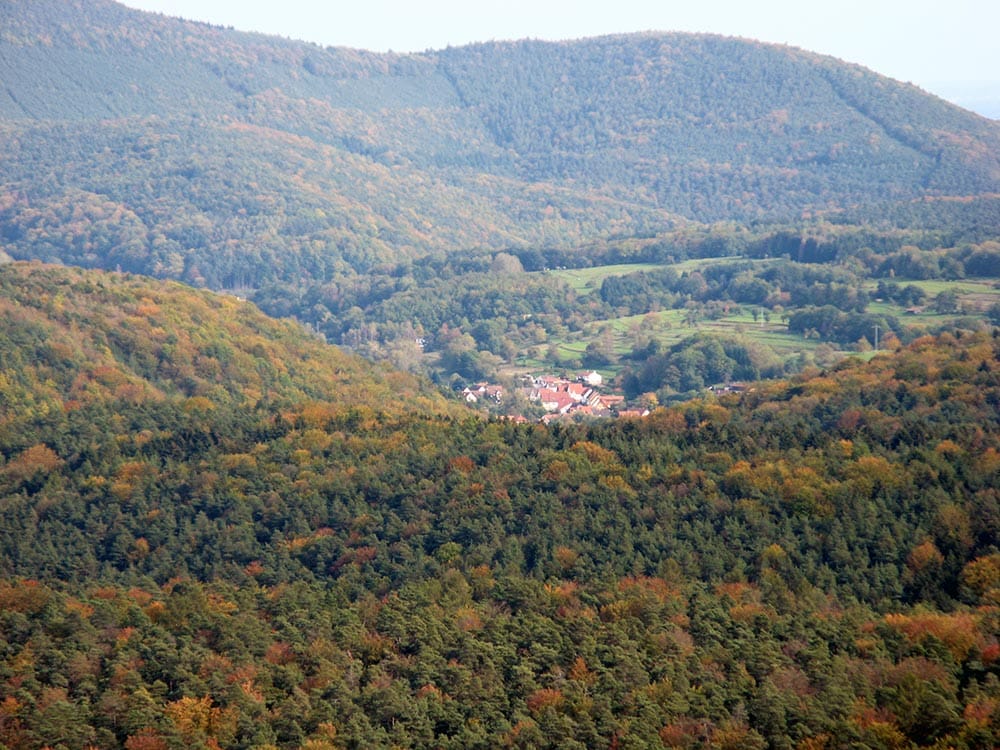 Silz in der Pfalz - Blick von Burgruine Lindelbrunn aus
