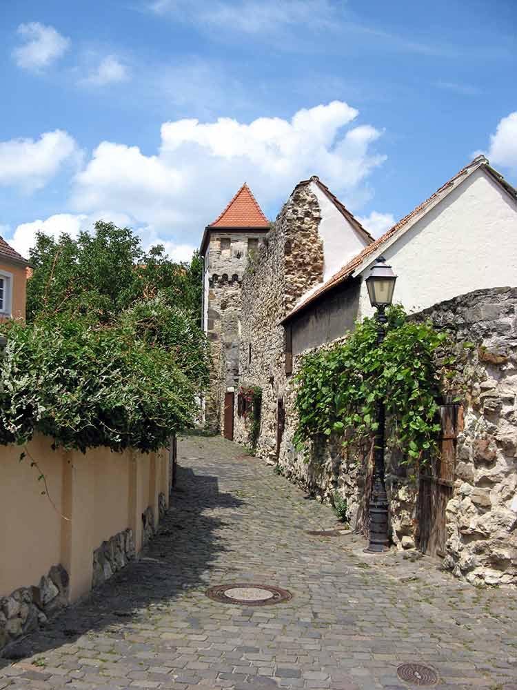 Stadtmauer mit Hahnenturm in Freinsheim in der Pfalz