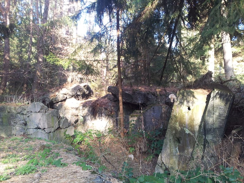 Westwallbunker im Bienwald