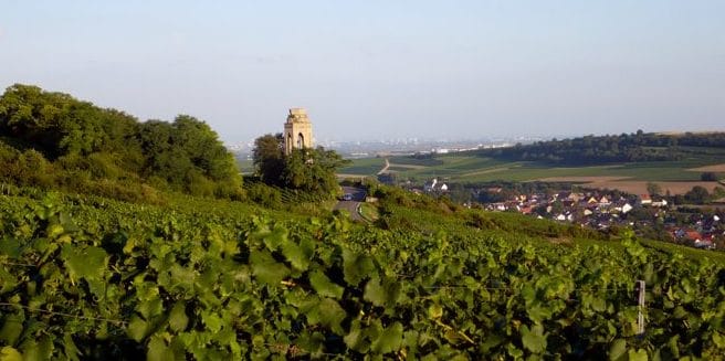 Weinbaugebiet Zellertal, hervorragende Weine