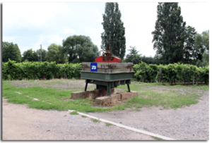 Wohnmobilstellplatz im Weingut Erlenmühle