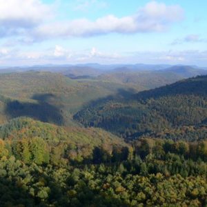 Naturpark & Biosphärenreservat Pfälzerwald - Blick vom Luitpoldturm aus