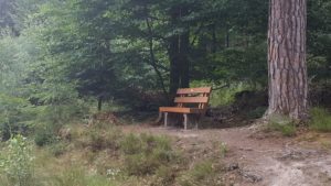 Lauschige Plätzchen im Pfälzerwald