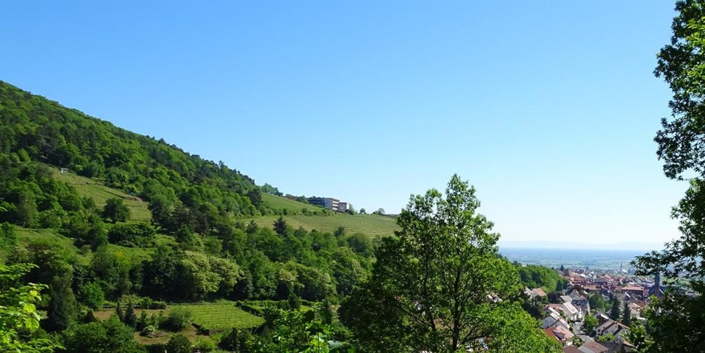 "Haus am Weinberg" - Höhenrestaurant, Hotel, Wellness in Sankt Martin in der Pfalz