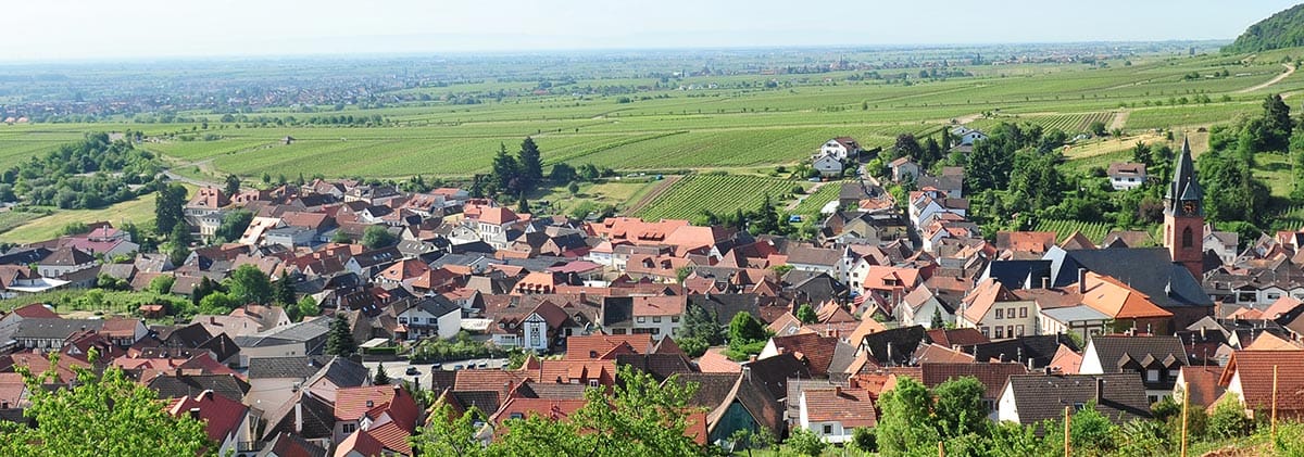 Thb Hotel Haus Am Weinberg In Sankt Martin