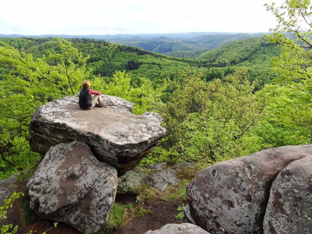 Der Drachenfels bei Bad Dürkheim in der Pfalz