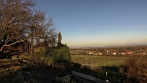 Weinmadonna mit Blick auf Forst