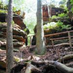 Premiumwanderweg "Dahner Felsenpfad"